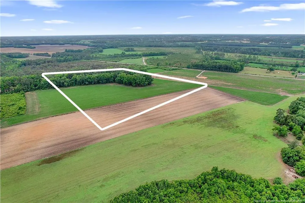 Lot 9 Buie Philadelphus Road Red Springs, NC 28377