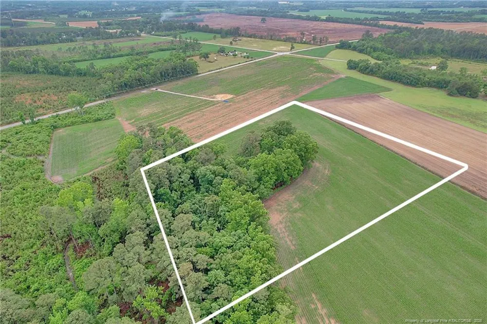 Lot 9 Buie Philadelphus Road Red Springs, NC 28377