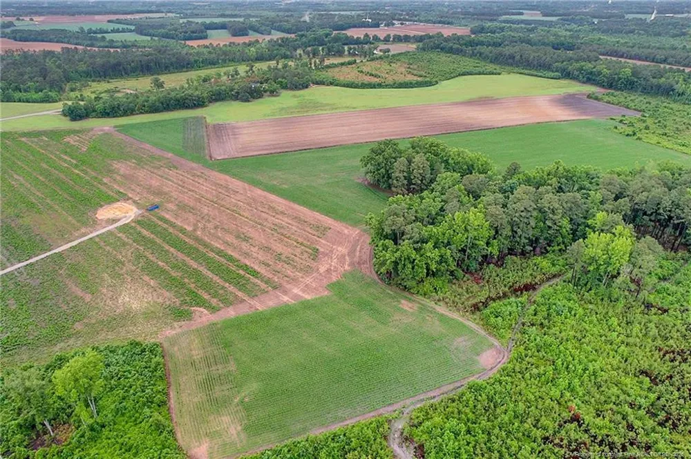 Lot 9 Buie Philadelphus Road Red Springs, NC 28377