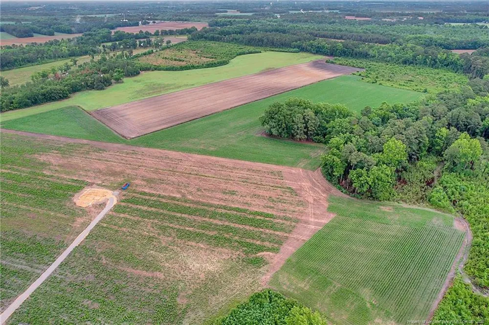 Lot 9 Buie Philadelphus Road Red Springs, NC 28377