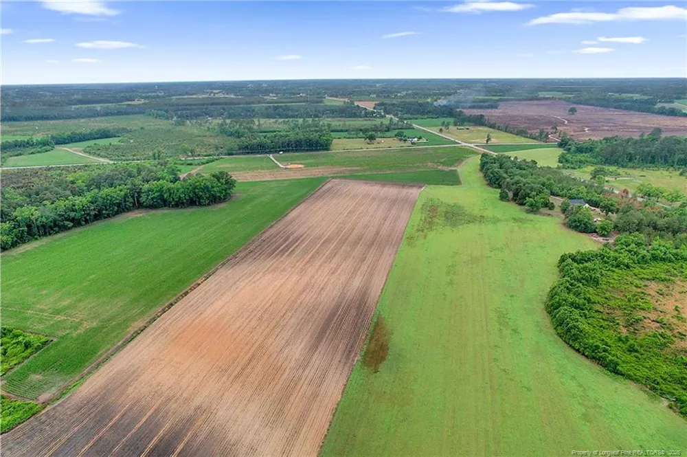 Lot 9 Buie Philadelphus Road Red Springs, NC 28377