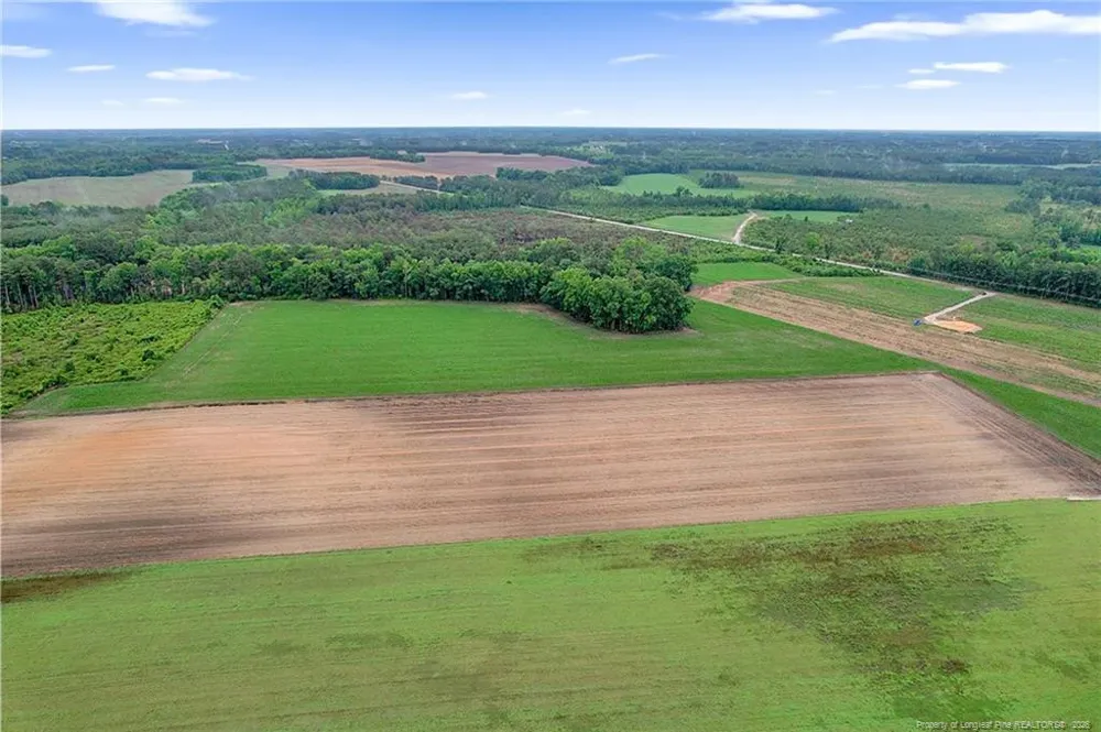 Lot 8 Buie Philadelphus Road Red Springs, NC 28377