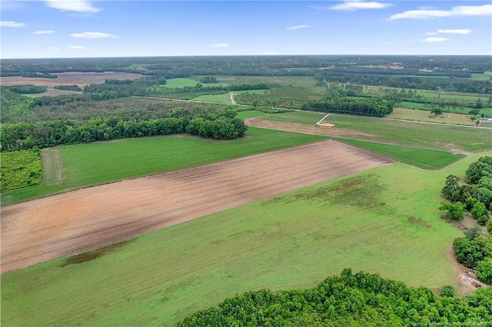 Lot 8 Buie Philadelphus Road Red Springs, NC 28377
