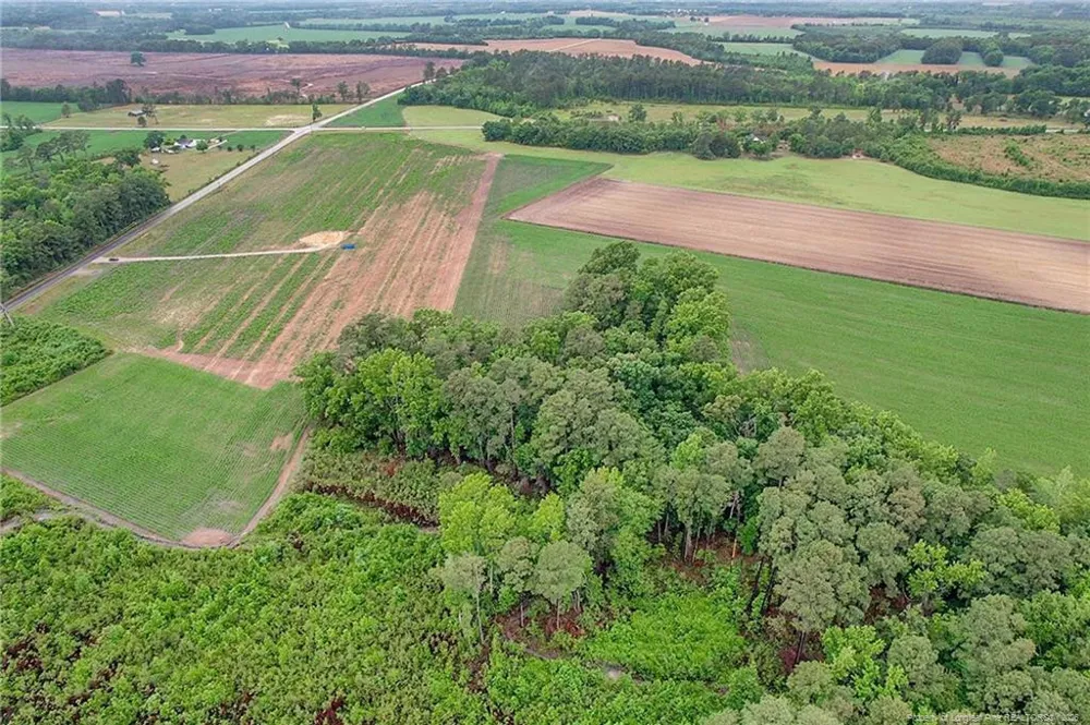Lot 8 Buie Philadelphus Road Red Springs, NC 28377
