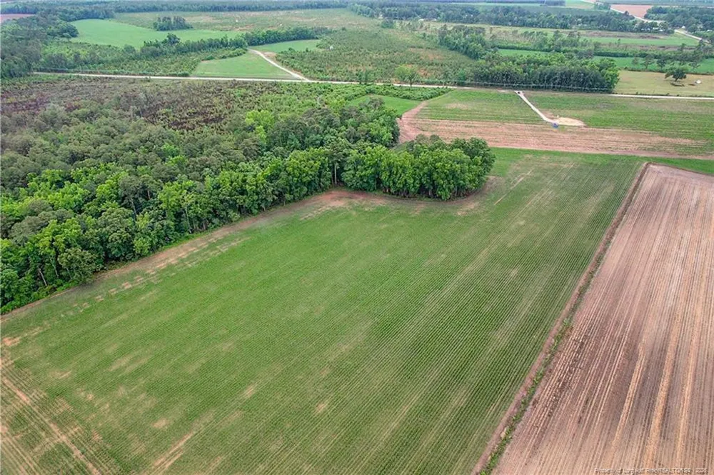 Lot 8 Buie Philadelphus Road Red Springs, NC 28377