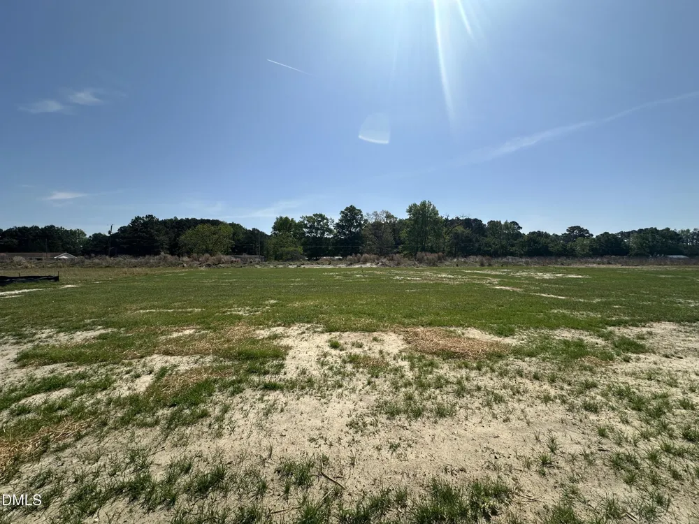 113 Huckleberry Bush Lane Princeton, NC 27569