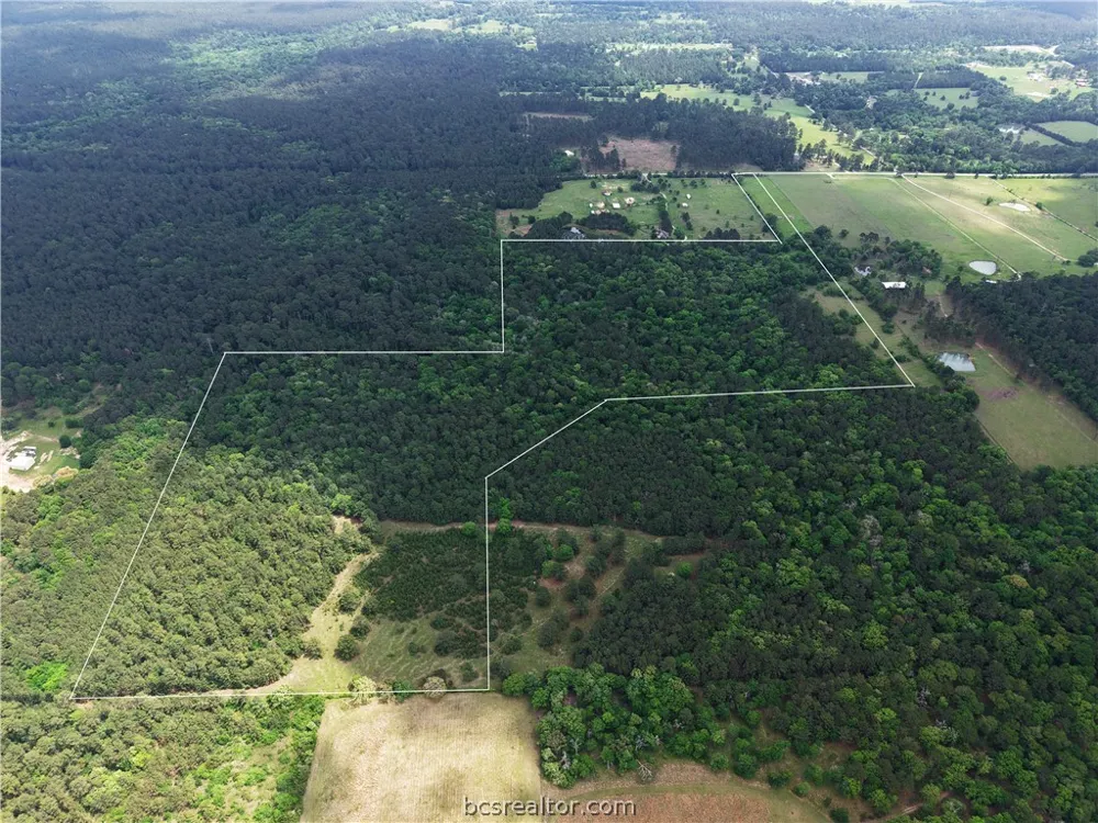 FM 1791 Richards, TX 77873