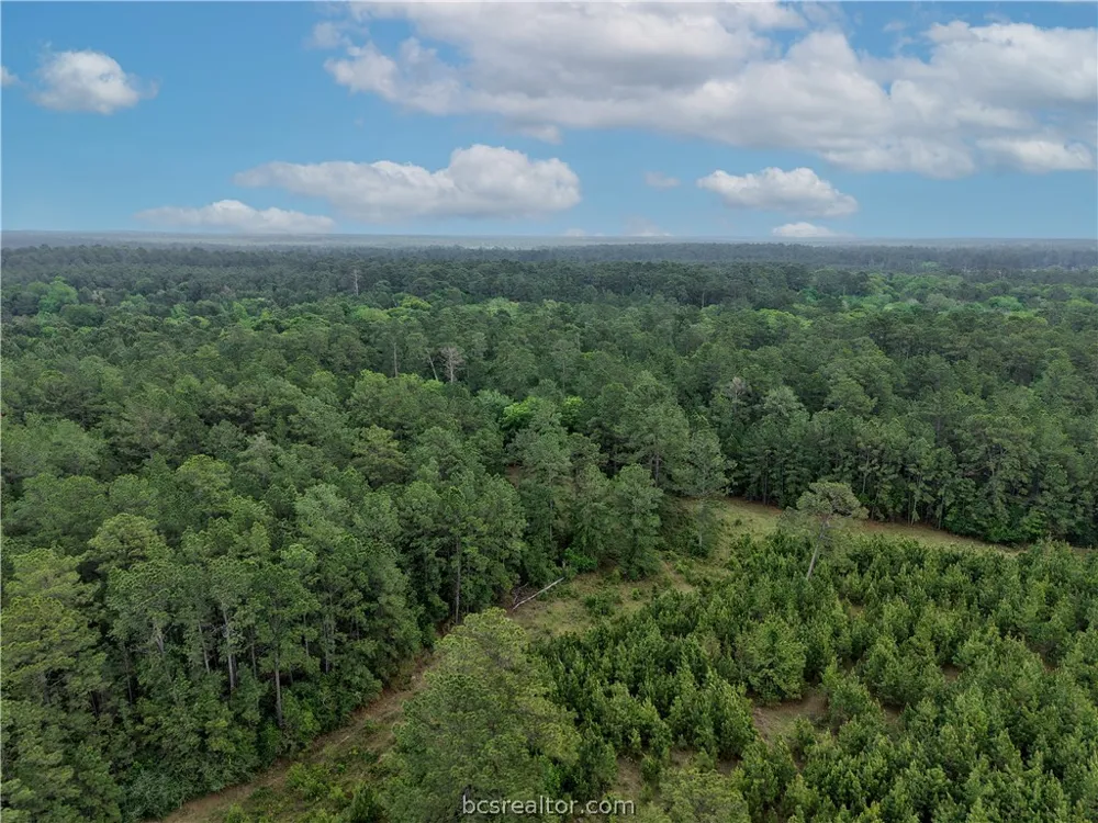 FM 1791 Richards, TX 77873