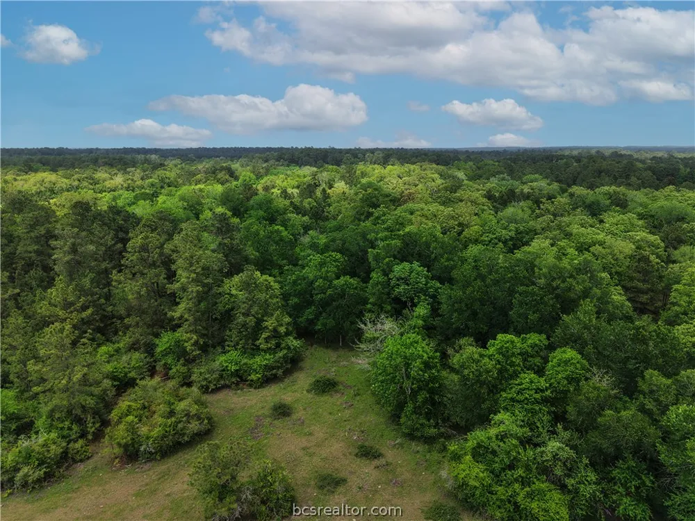 FM 1791 Richards, TX 77873