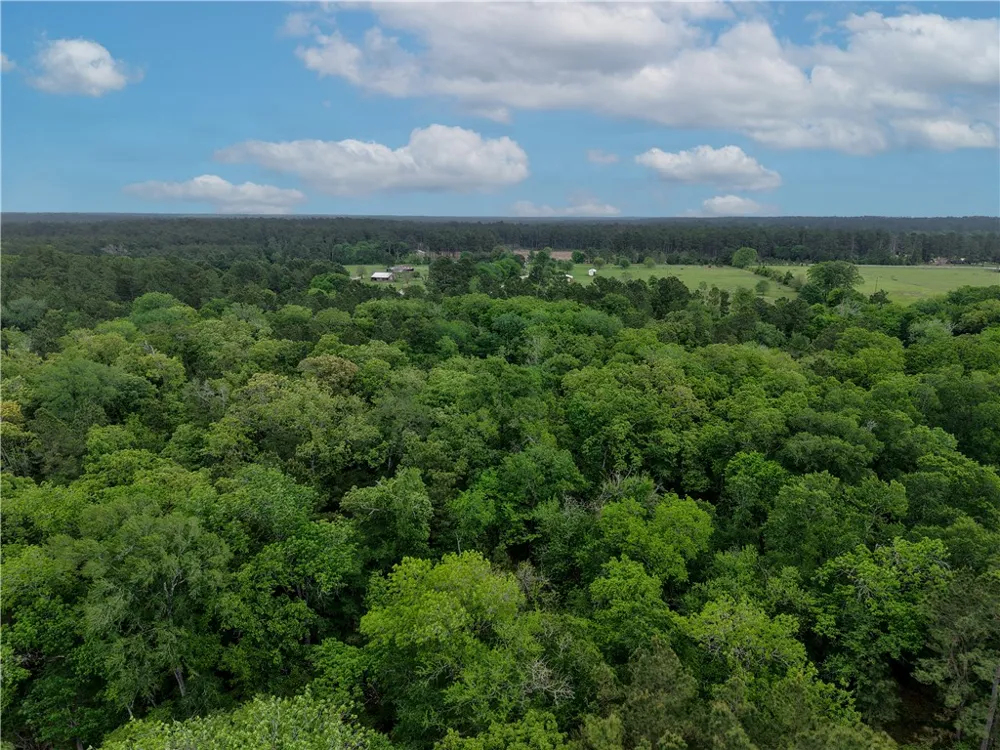 FM 1791 Richards, TX 77873