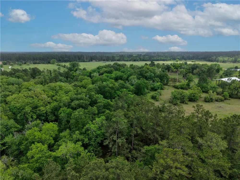 FM 1791 Richards, TX 77873