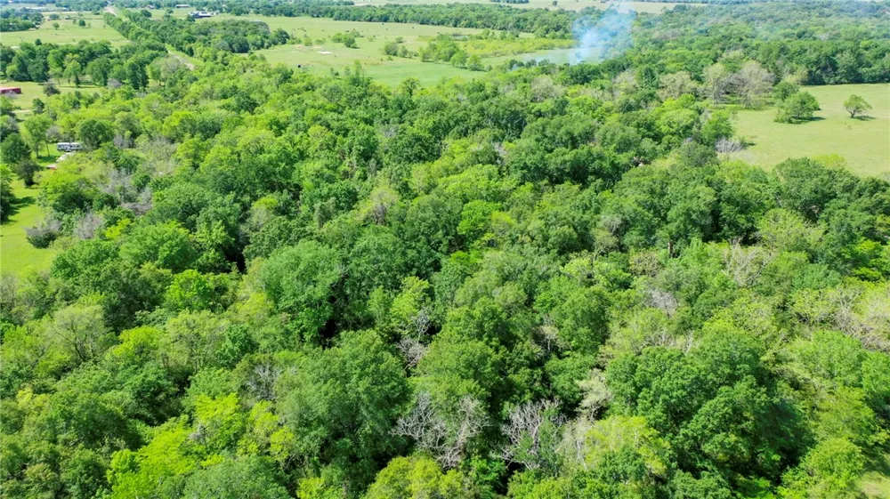 7000 FM 3060 Midway, TX 75852