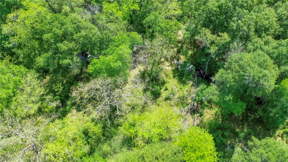 7000 FM 3060 Midway, TX 75852