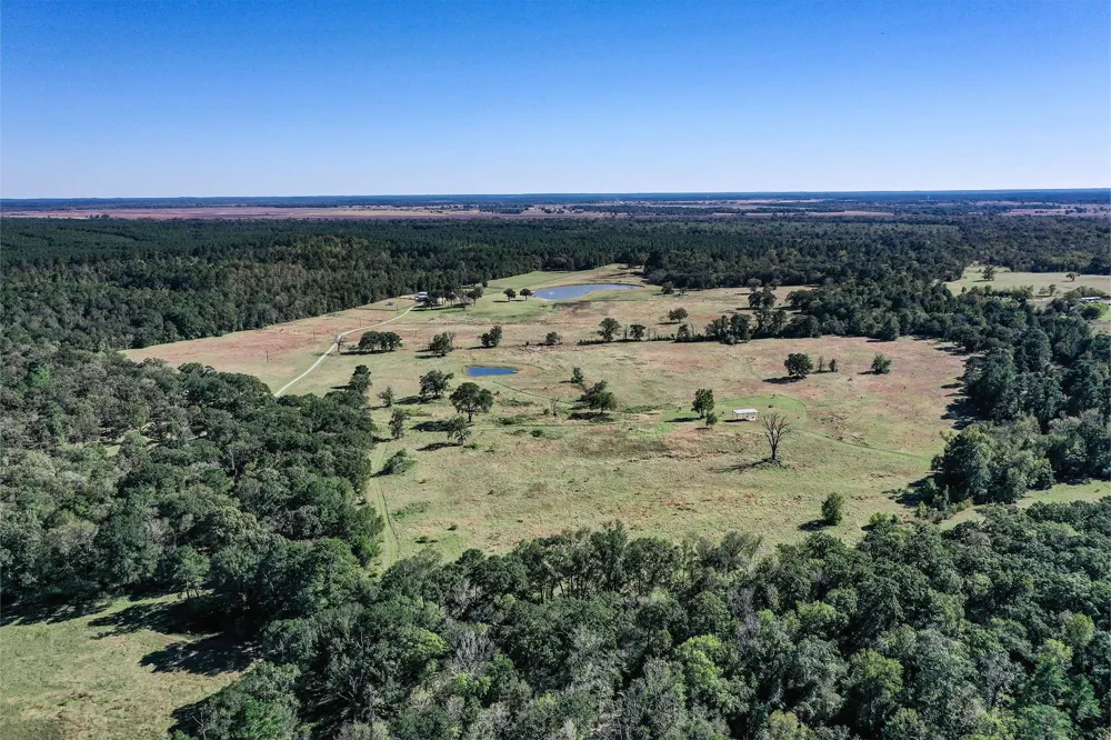485 Fm 230 Trinity, TX 75862
