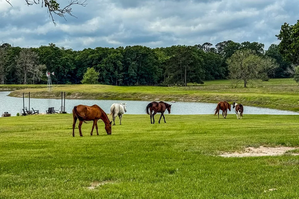 485 Fm 230 Trinity, TX 75862