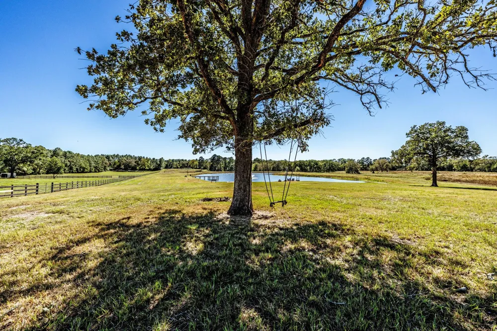 485 Fm 230 Trinity, TX 75862
