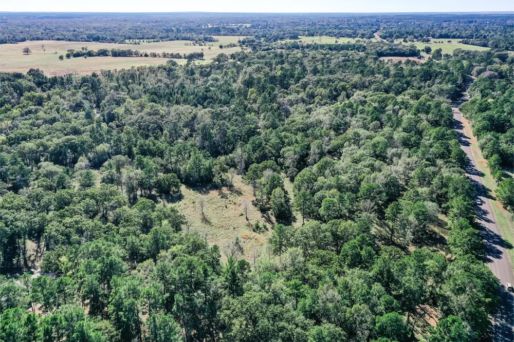 485 Fm 230 Trinity, TX 75862