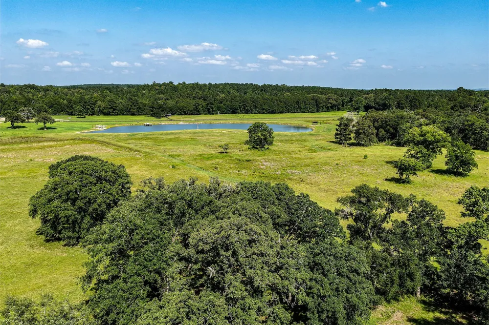 485 Fm 230 Trinity, TX 75862