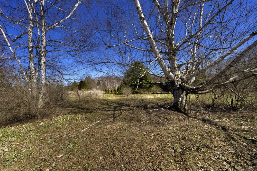 Manitou Trail Leland Township, MI 49654