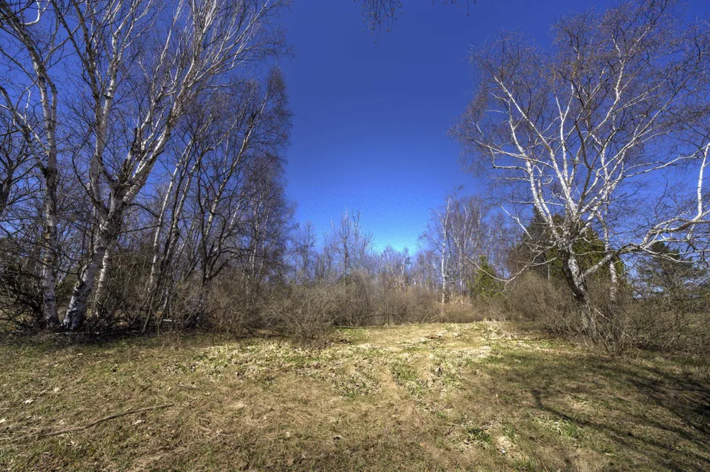 Manitou Trail Leland Township, MI 49654