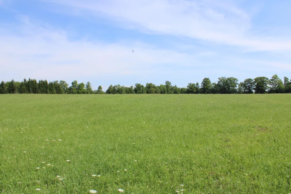 2812 Shoreline Drive Hill Township, MI 48635