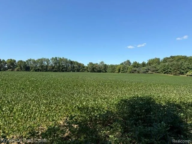 Murphy Lake Road Watertown Township, MI 48744