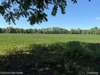 Murphy Lake Road