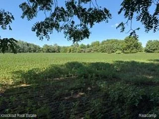 Murphy Lake Road Watertown Township, MI 48744