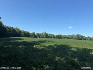 Murphy Lake Road Watertown Township, MI 48744