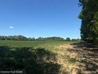 Murphy Lake Road Watertown Township, MI 48744