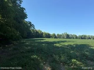 Murphy Lake Road Watertown Township, MI 48744