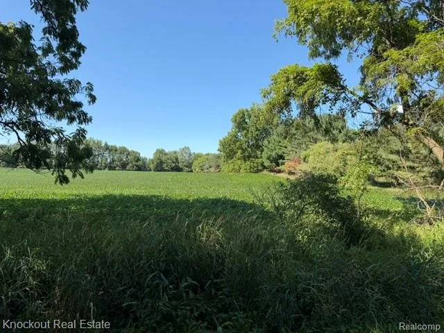 Murphy Lake Road Watertown Township, MI 48744