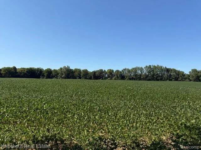 Murphy Lake Road Watertown Township, MI 48744