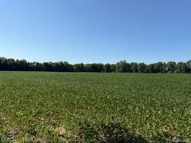 Murphy Lake Road Watertown Township, MI 48744