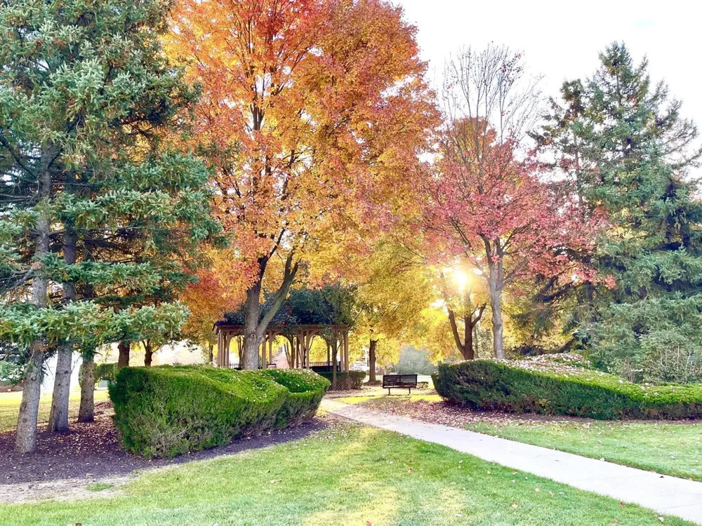 5841 Lafayette Lane Scio Township, MI 48103