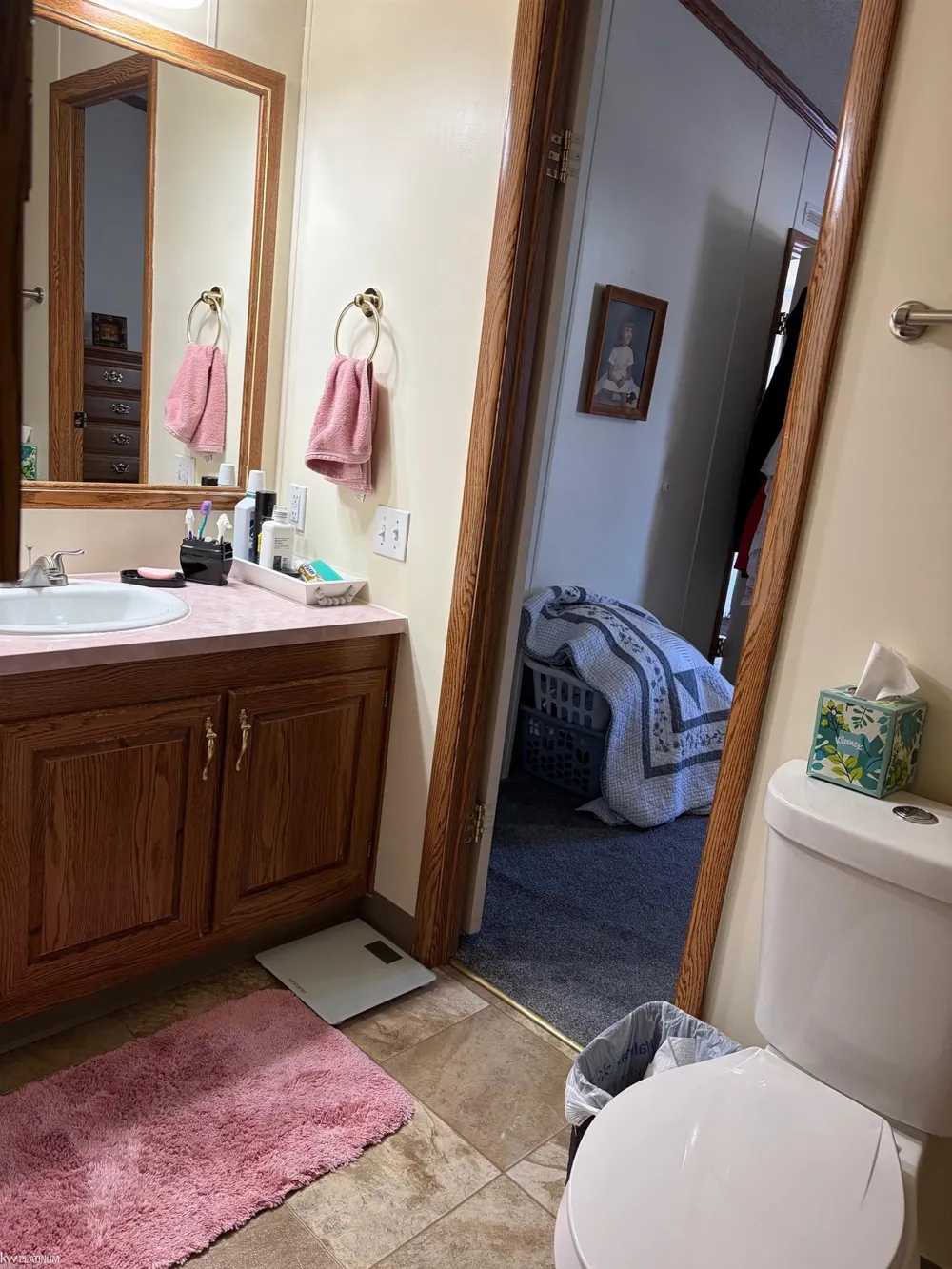 421 Red Pine Drive Genesee Charter Township, MI 48506