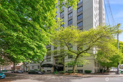 1105 Spring Street #712