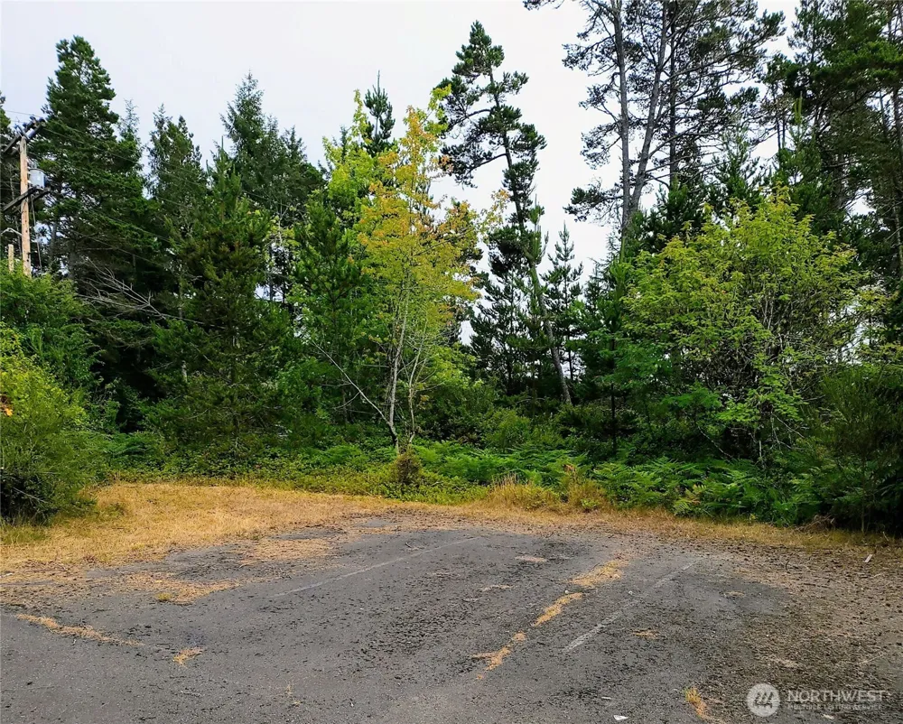 715 S Forrest Street Westport, WA 98595