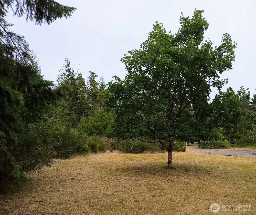 715 S Forrest Street Westport, WA 98595