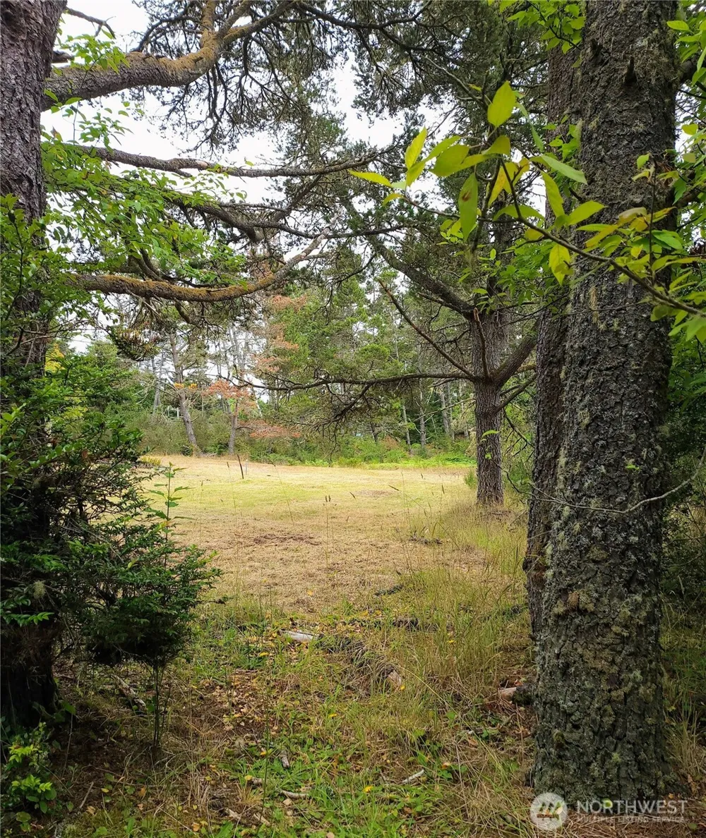 715 S Forrest Street Westport, WA 98595