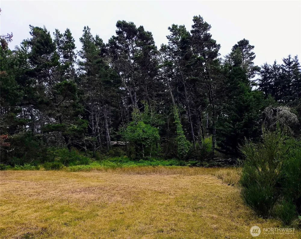 715 S Forrest Street Westport, WA 98595