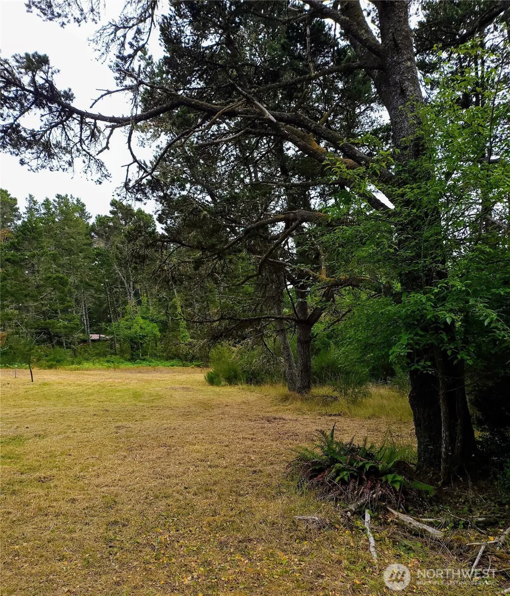 715 S Forrest Street Westport, WA 98595