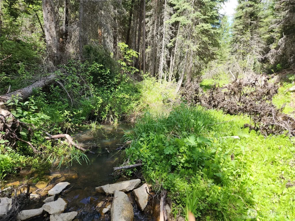 363 Sheridan Road Republic, WA 99166