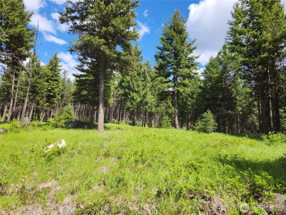 363 Sheridan Road Republic, WA 99166