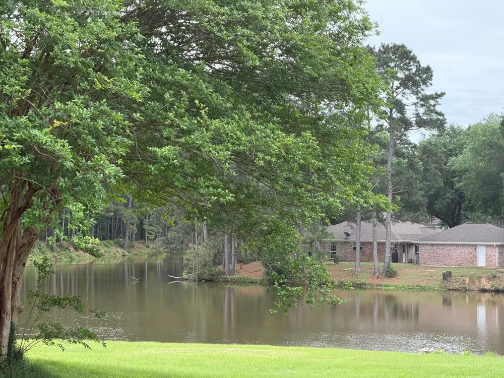 86 E Whippoorwill Trinity, TX 75862