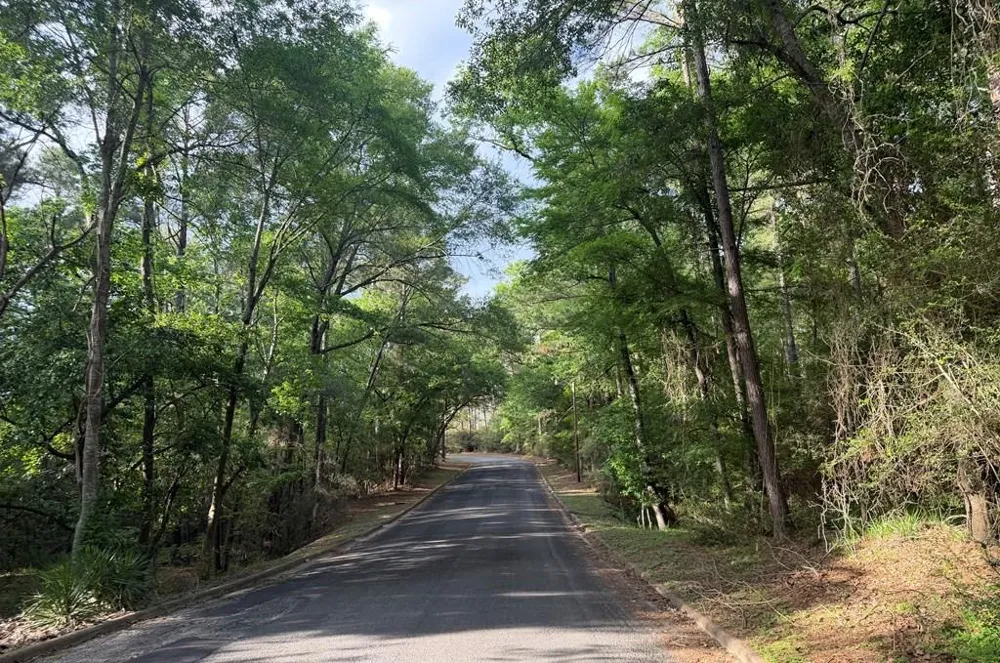 86 E Whippoorwill Trinity, TX 75862