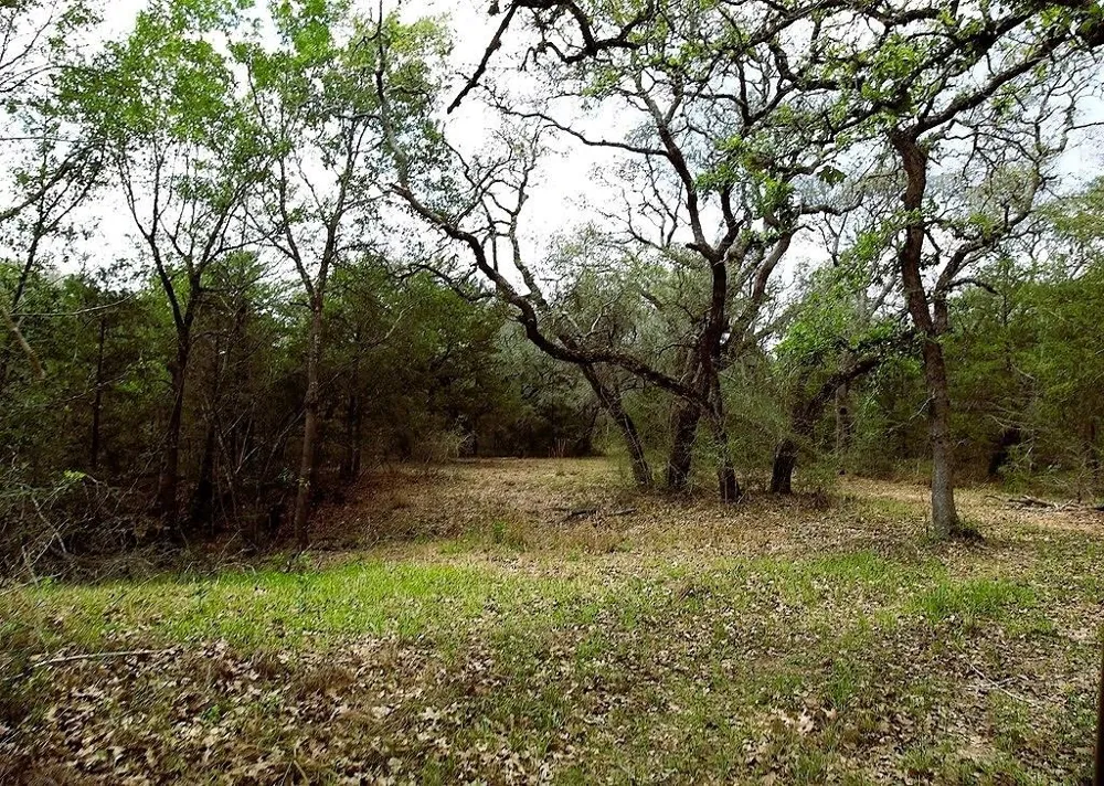 1105 Lakewood Lane Sheridan, TX 77475