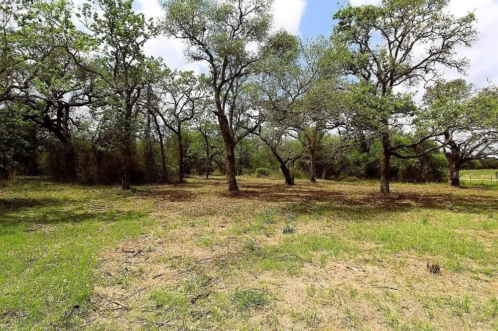 1105 Lakewood Lane Sheridan, TX 77475
