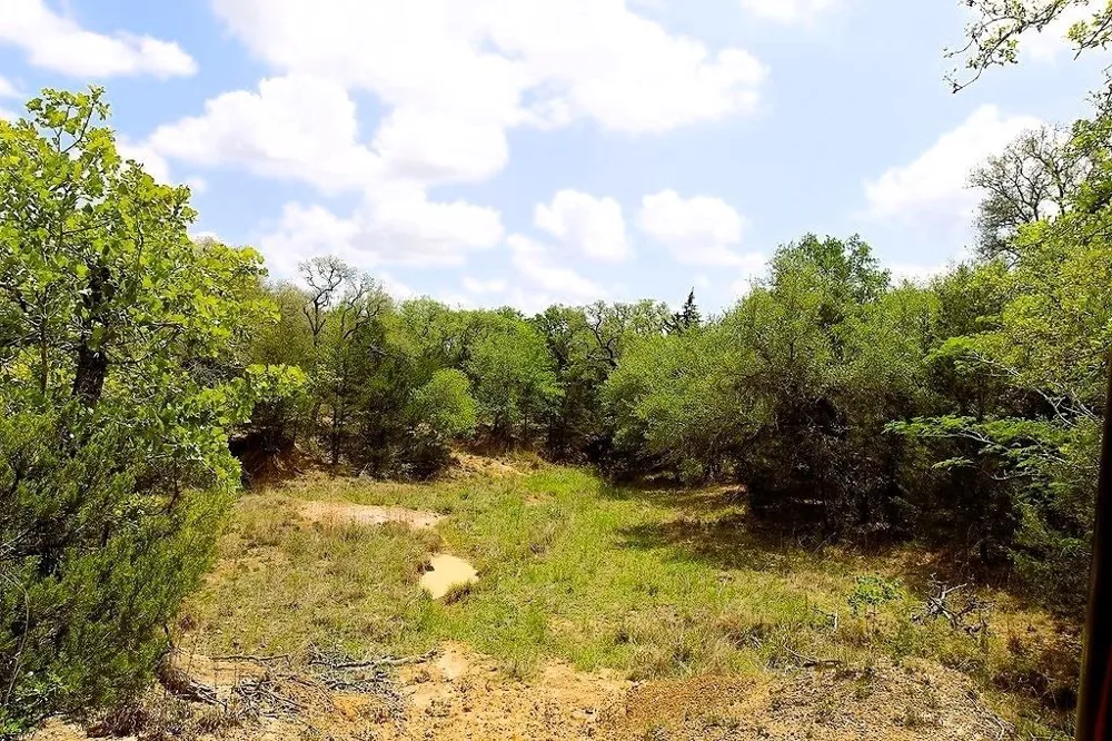 1105 Lakewood Lane Sheridan, TX 77475