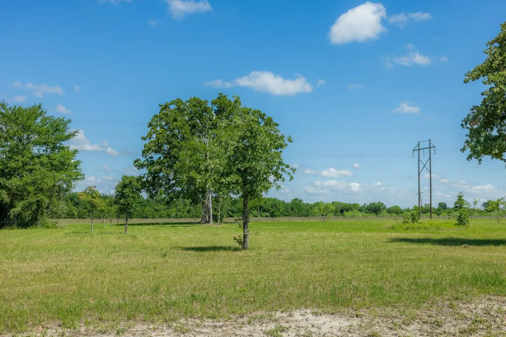 6757 Atakapan Trail Bedias, TX 77831
